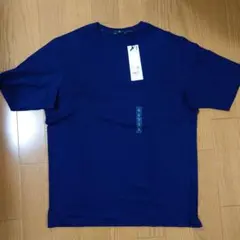 Item thumbnail for item ac18de03-0e13-4414-9f5f-425dd2eb7b4e