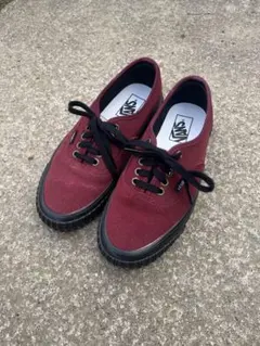 vans AUTHENTIC 44 LUG DX VN0005U4PRT