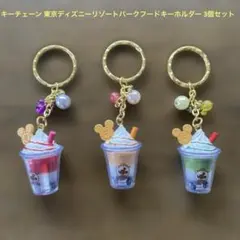 キーチェーン 東京ディズニーリゾートパークフードキーホルダー 3個セットミッキー