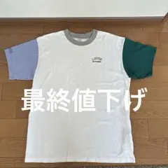 Levi's リーバイス クレイジーパターン Tシャツ 袖切り替え マルチカラーのサムネイル