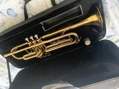 Item thumbnail for item 8a7a03f4-be17-40fc-adf4-d95ce9d00cd0