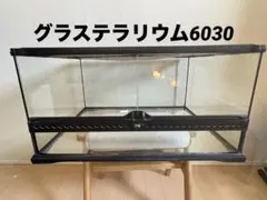 2026年最新】グラステラリウム 9045の人気アイテム - メルカリ