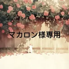 マカロン 様　専用