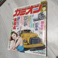 Item thumbnail for item 7b325495-3bea-456e-b011-cc0dc9ffd0ac