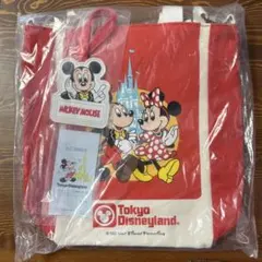 東京ディズニーランド　40周年　メモリーゴーラウンド　ショルダーバッグ