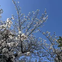 専用♡おまとめ