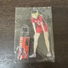 ハイキュー 孤爪研磨 アクスタ