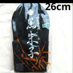 Item thumbnail for item 64aefcb8-816e-4ebb-ac2d-c2aba8765b45