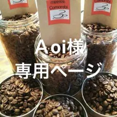 Ａoi様専用ページ