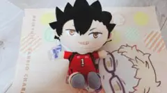 ハイキュー　黒尾鉄朗　ぬいぐるみマスコット