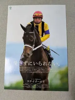ステイゴールド ヒーロー列伝ポスター