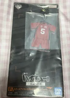 ハイキュー!! 一番くじ スクールアイコンボタン付きアクリルチャーム