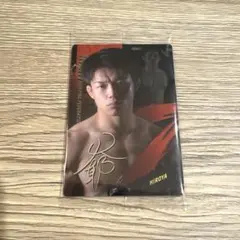 RIZIN ヒロヤJTT ウエハース　カード付き RIZINウエハース'25 [27.ヒロヤ(Nカード)],バンダイ 食玩 通販