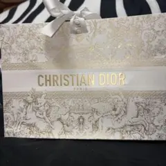 Christian Dior ショップ袋 2 セット - メルカリ