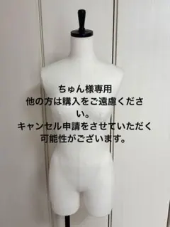 BUNKA トルソー ボディ 裁縫用 マネキン 二体セット - メルカリ