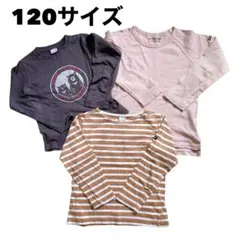 120 プティマイン ビールーム 長袖Tシャツ　3枚セット ロンT ナルミヤ