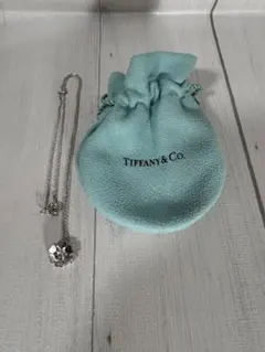 【美品・希少】TIFFANY&Co.クラウンハートネックレス1Pダイヤ