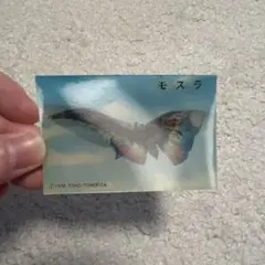 1998年 東宝 モスラ 鎧モスラ シール　ステッカーのサムネイル