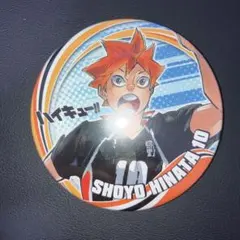 2026年最新】日向翔陽缶バッジの人気アイテム - メルカリ