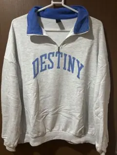 DESTINY ジップアップ トレーナー グレー