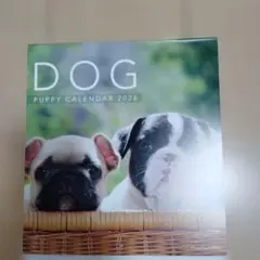 Item thumbnail for item 0f47f019-c850-4daa-9d38-2477bae60d7c