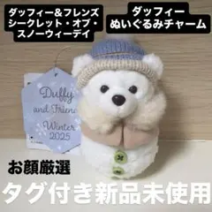 ダッフィー シークレットオブスノーウィーデイ 雪だるま ぬいぐるみチャーム