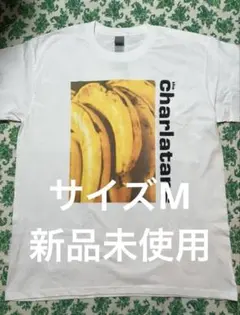 Item thumbnail for item f6a920b9-e142-4b54-8360-31c7f9ae95d5