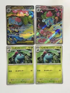 メガフシギバナex sr フシギソウar