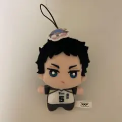 ハイキュー 赤葦京治 ちみっともぬい