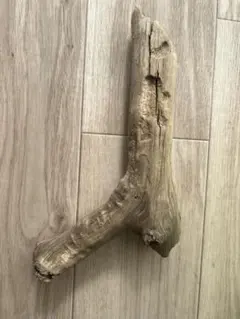 Item thumbnail for item aa4511de-703a-43d7-a579-bfb806c6b72f