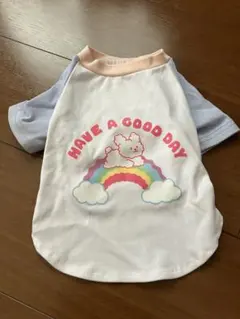 Item thumbnail for item f8cfcfb8-f764-4352-adc4-db05649ca267