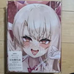 プリズマイリヤ イリヤ 抱き枕カバー 160×50cm