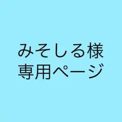 みそしる様専用ページ
