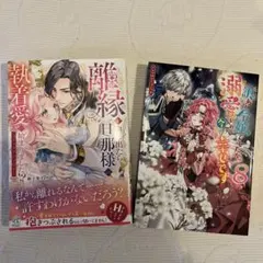 女性向け漫画アンソロジー 2冊セット　訳あり令嬢　溺愛　執着愛のサムネイル