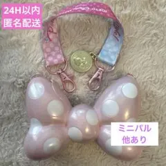 【ミニスナックケース】ミニパル　ミニー　パルパルーザ　ファンダーランド