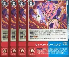 ウォール・トレーニング 4枚 デジカ