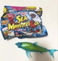 シーモンスターズ&co