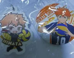 ハイキュー　くら寿司　缶バッジ　めじるしチャーム　日向翔陽