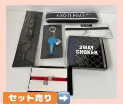 EXO トレカ 2枚セット - メルカリ