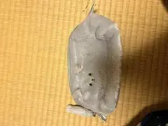 猫 筆箱 ペンケース ポーチ