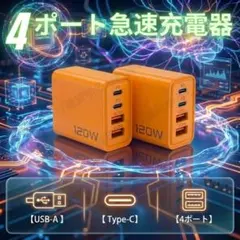 2個セット 充電器 USB Type-C PD 急速充電 4ポート B6