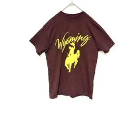 アメリカ古着 ワイオミング カウボーイズロゴ メンズTシャツ ブラウン