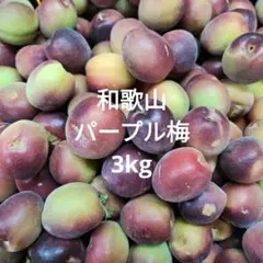 和歌山　パープル 紫　梅　3kg