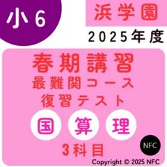 2026年最新】浜学園 春期講習 小6復習テストの人気アイテム - メルカリ