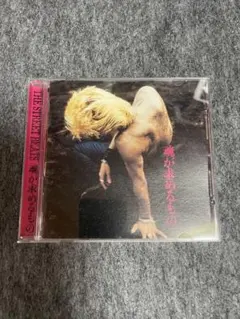 THE STREET BEATS CD 魂が求めるもの