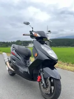 シグナスX 3型 神奈川 再出品 - メルカリ