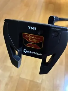 2025年最新】テーラーメイド スパイダーgt tm1の人気アイテム - メルカリ