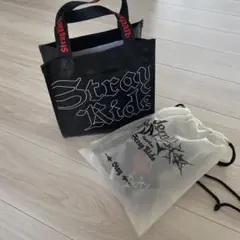 【美品】StrayKids dominATE Japan アップグレードグッズ