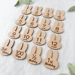 Item thumbnail for item 363e8533-fa63-4dc4-a8fe-a976ee101297