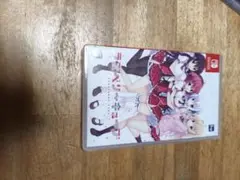 ラズベリーキューブ Nintendo Switch
